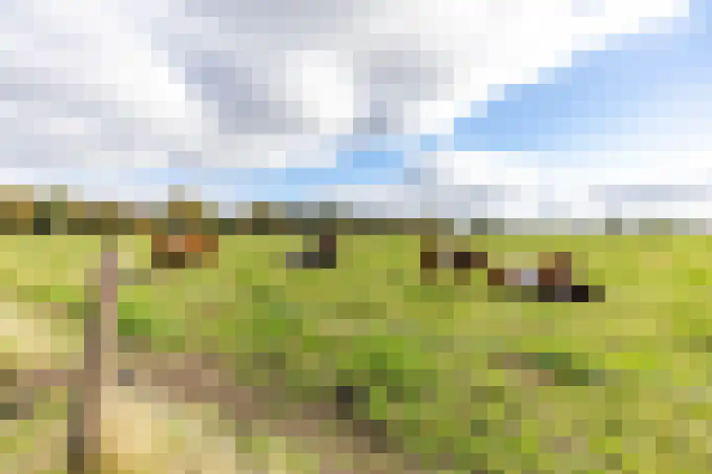 Nesciolaan 83 Haren Gn thumbnail 48