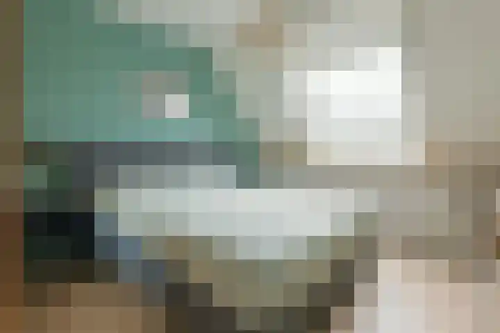 Nesciolaantje 6 Loenersloot thumbnail 11