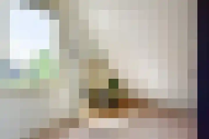 Nesciolaantje 6 Loenersloot thumbnail 15