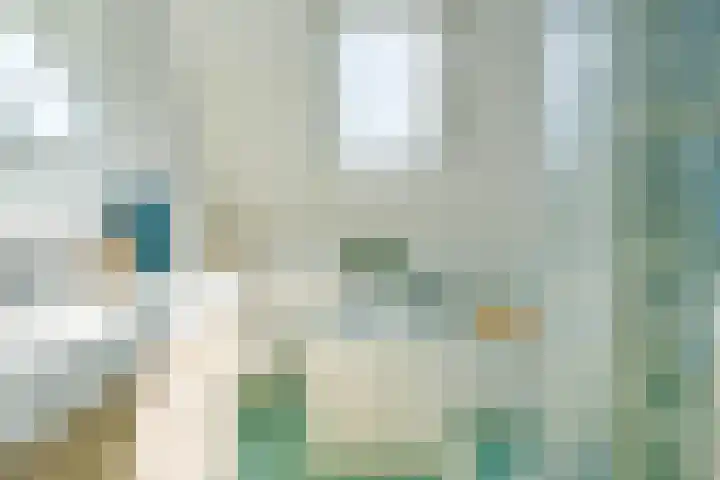 Nesciolaantje 6 Loenersloot thumbnail 16
