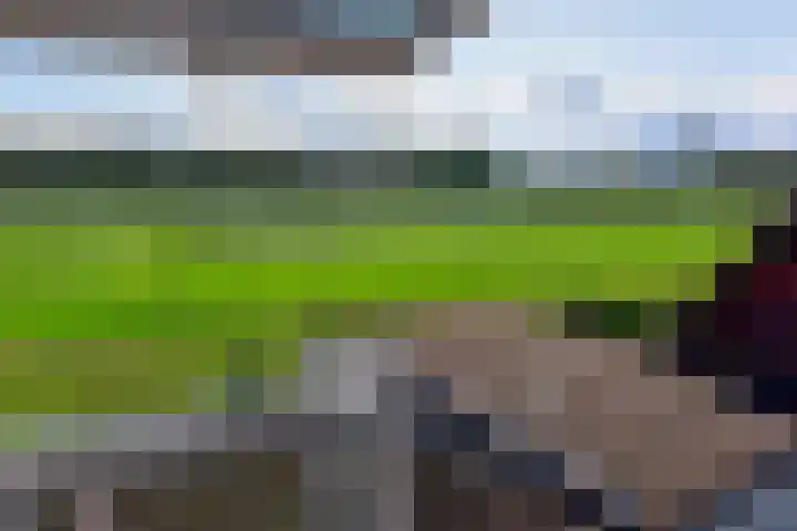 Nesciolaantje 6 Loenersloot thumbnail 20