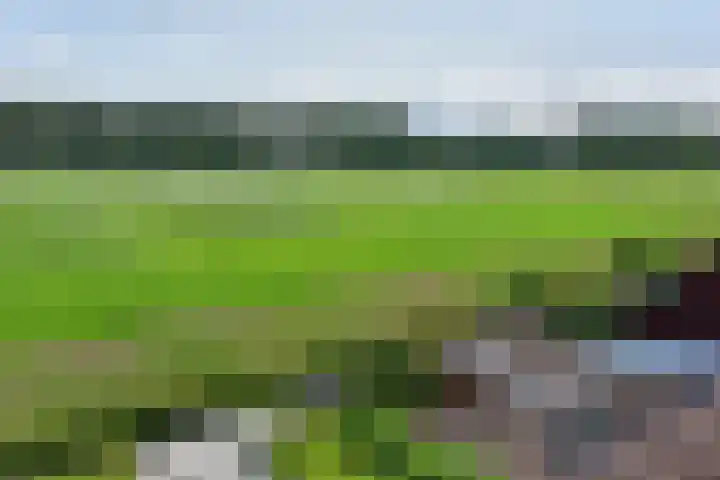 Nesciolaantje 6 Loenersloot thumbnail 23