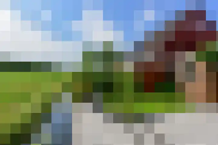 Nesciolaantje 6 Loenersloot thumbnail 26