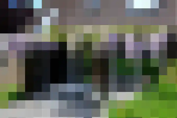 Nesciolaantje 6 Loenersloot thumbnail 27