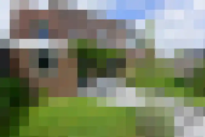 Nesciolaantje 6 Loenersloot thumbnail 28