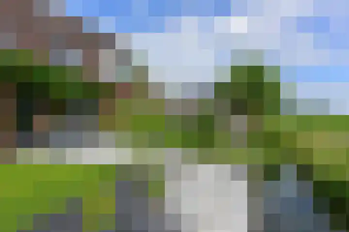 Nesciolaantje 6 Loenersloot thumbnail 29