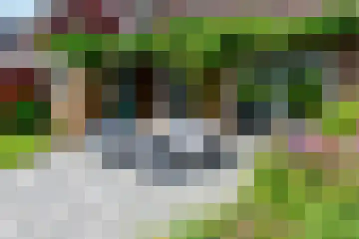 Nesciolaantje 6 Loenersloot thumbnail 30