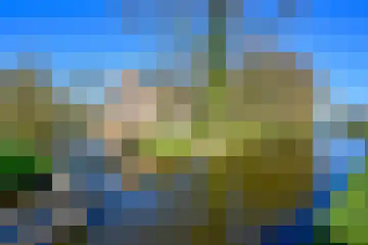 Nesciolaantje 6 Loenersloot thumbnail 32