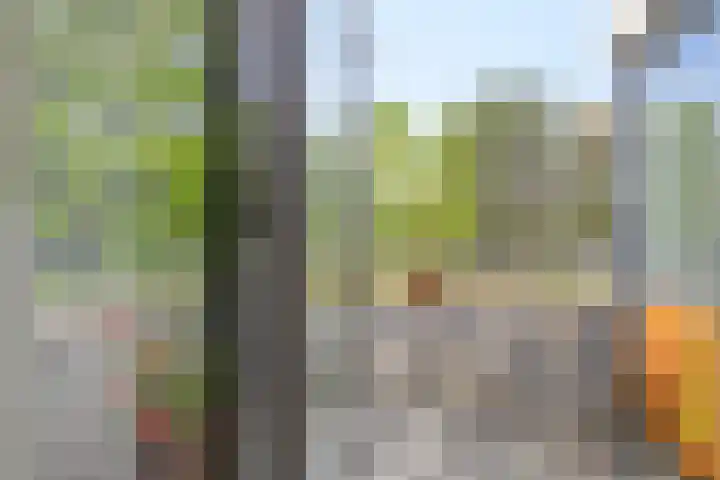 Nescioplantsoen 19 Almere thumbnail 18