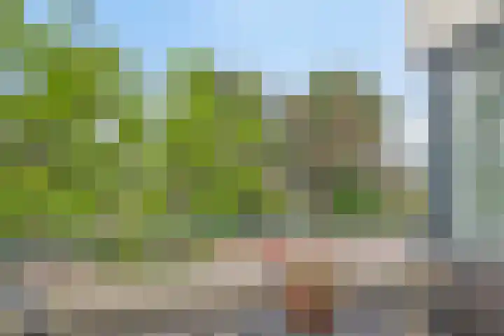 Nescioplantsoen 19 Almere thumbnail 19