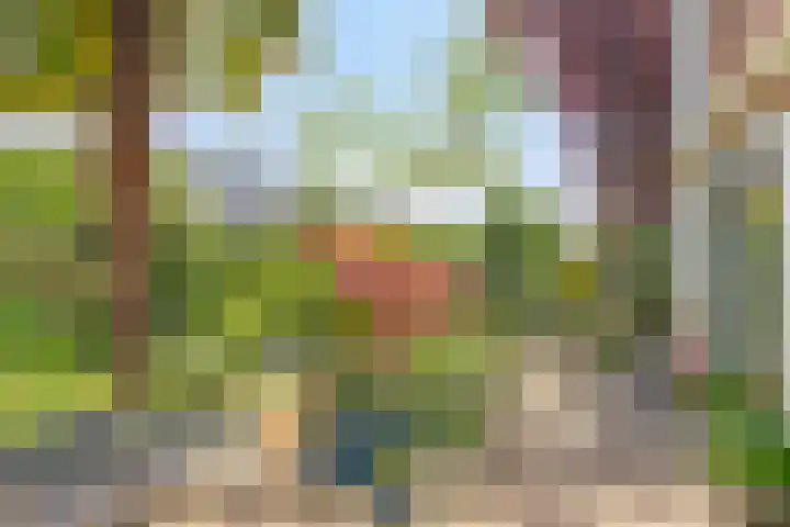 Nescioplantsoen 19 Almere thumbnail 29