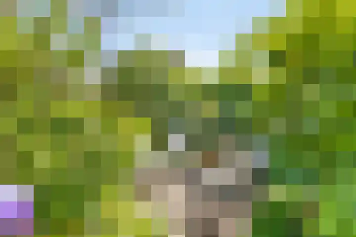 Nescioplantsoen 19 Almere thumbnail 30