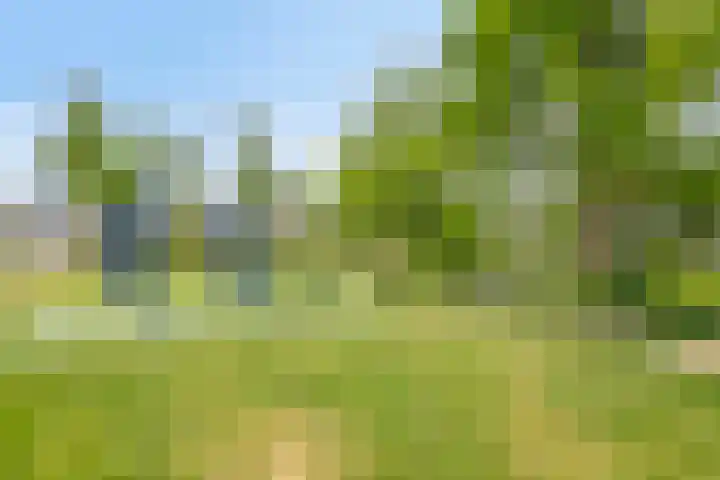 Nescioplantsoen 19 Almere thumbnail 32