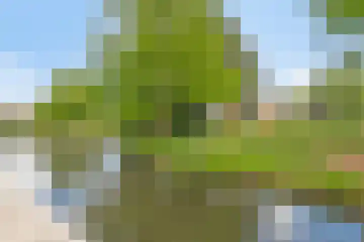 Nescioplantsoen 19 Almere thumbnail 33