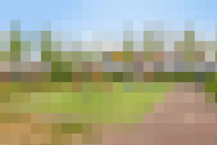 Nescioplantsoen 19 Almere thumbnail 34