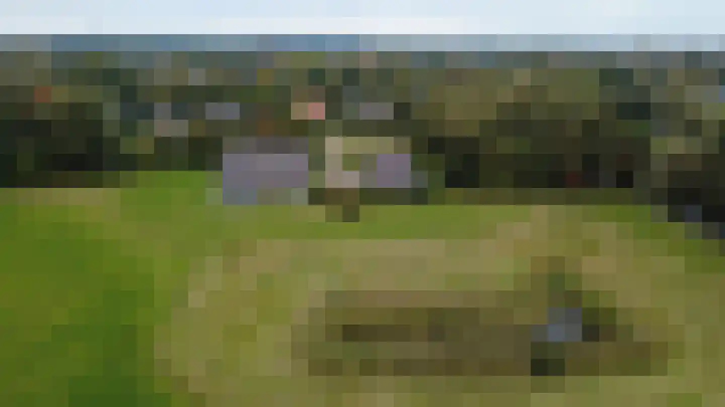 Nesdijk 24 Bergen (NH) thumbnail 35