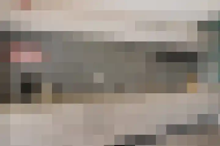 Nesse 11 Boskoop thumbnail 10