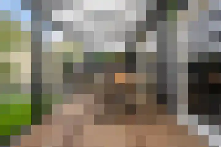 Nesse 11 Boskoop thumbnail 14