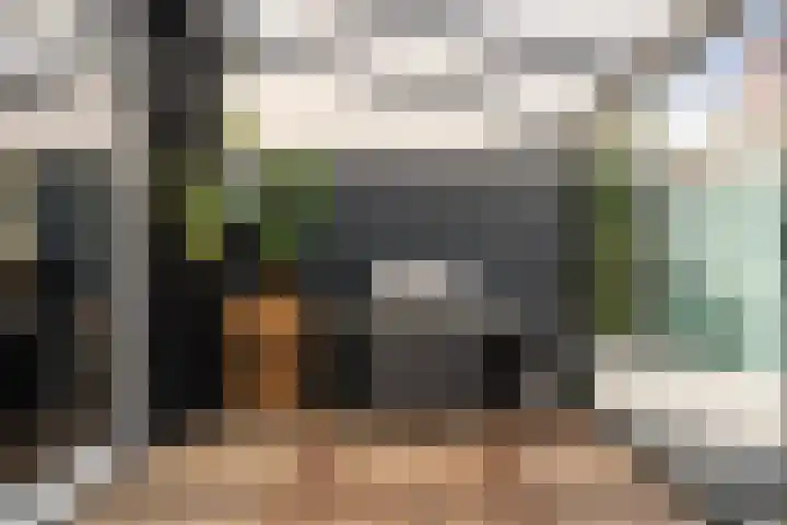 Nesse 11 Boskoop thumbnail 15