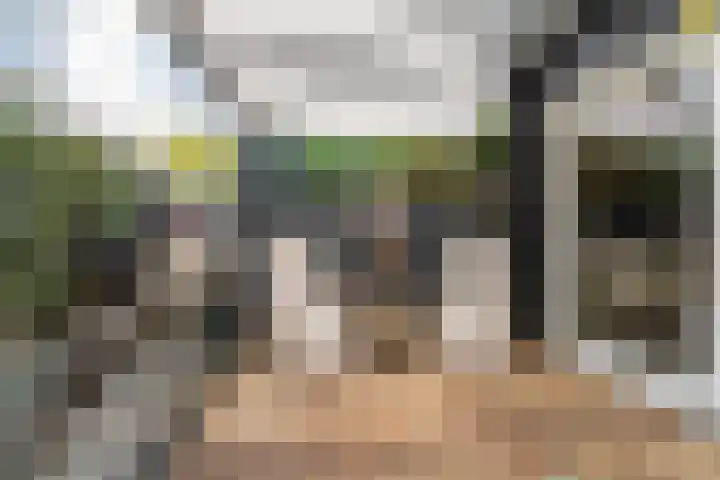 Nesse 11 Boskoop thumbnail 16