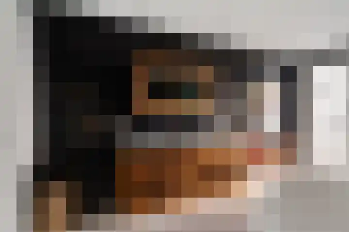 Nesse 11 Boskoop thumbnail 20