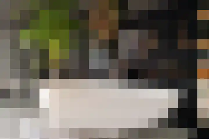 Nesse 11 Boskoop thumbnail 24