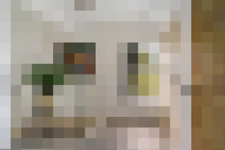 Nesse 11 Boskoop thumbnail 32