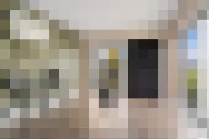 Nesse 11 Boskoop thumbnail 33
