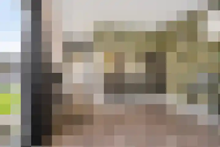 Nesse 11 Boskoop thumbnail 34