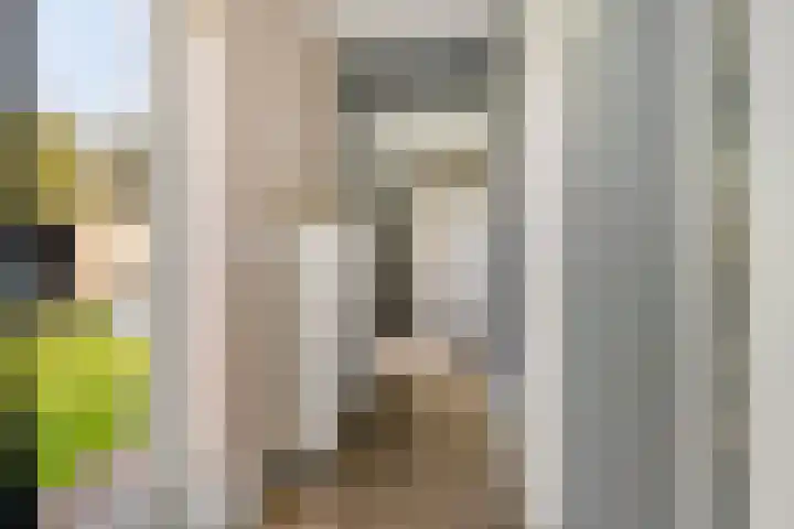 Nesse 11 Boskoop thumbnail 37