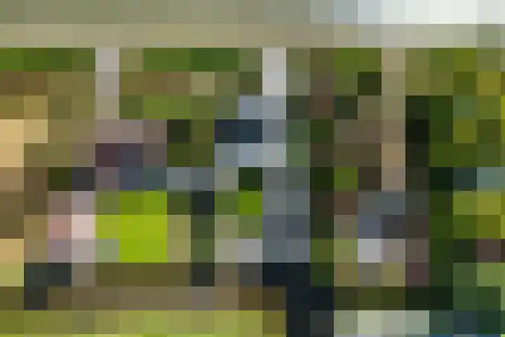 Nesse 11 Boskoop thumbnail 41