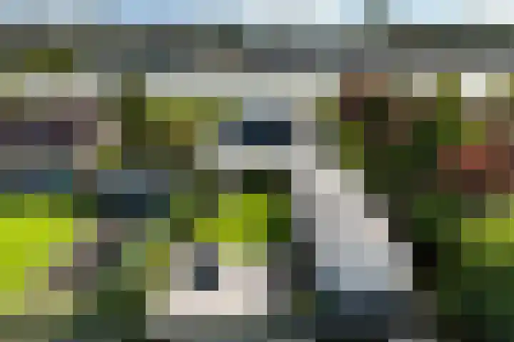 Nesse 11 Boskoop thumbnail 42