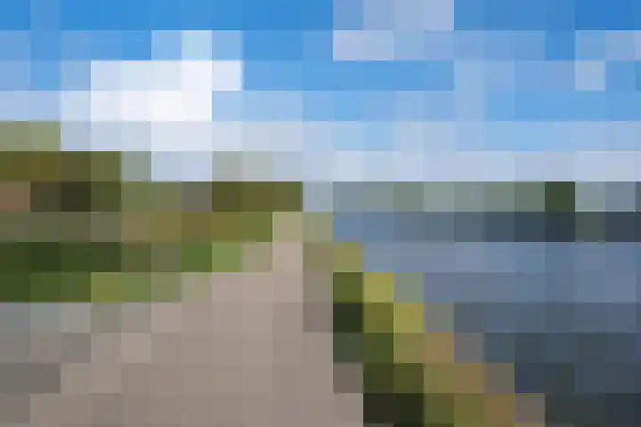 Nesse 11 Boskoop thumbnail 43