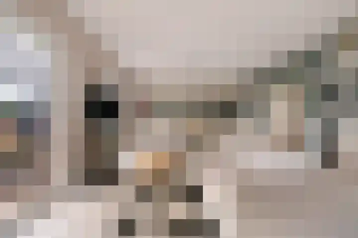 Nesse 11 Boskoop thumbnail 8