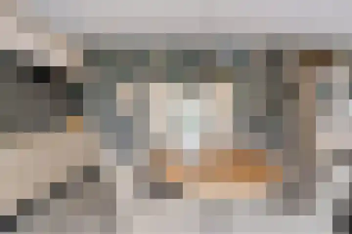 Nesse 11 Boskoop thumbnail 9