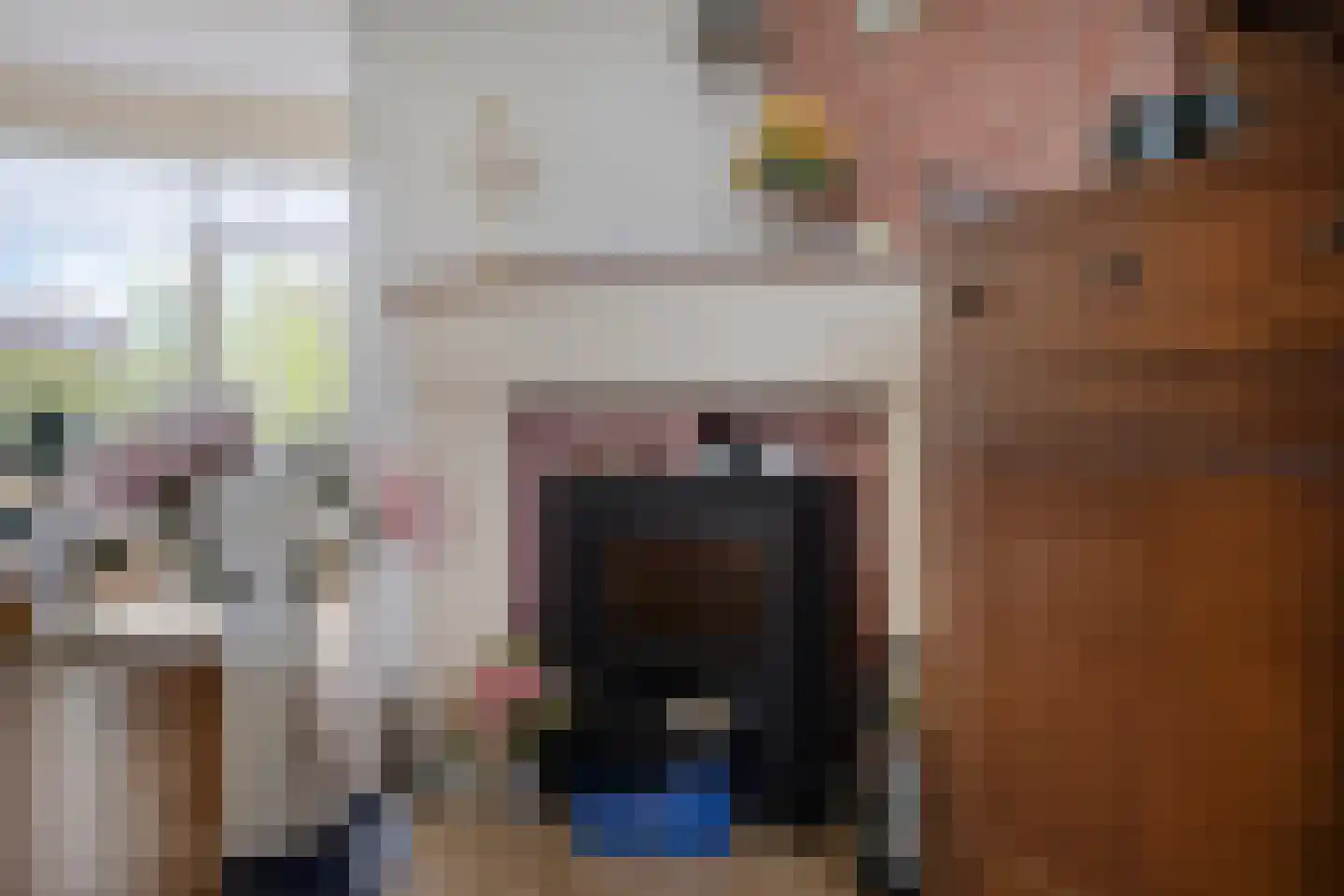 Nessenwei 16 C Oosthem thumbnail 13