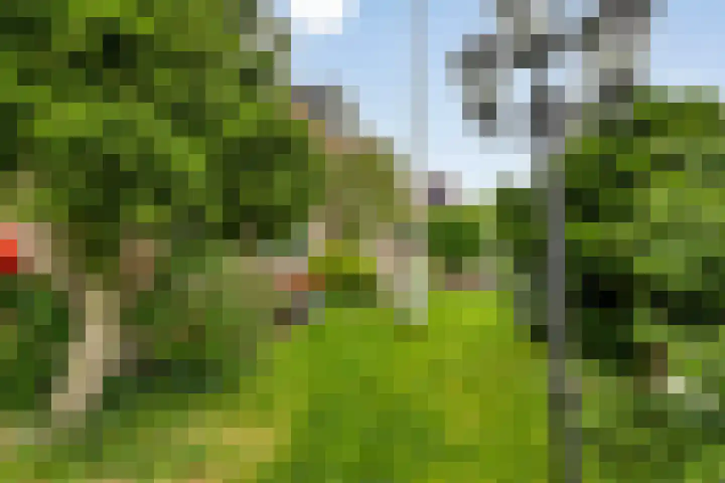 Nessenwei 16 C Oosthem thumbnail 29