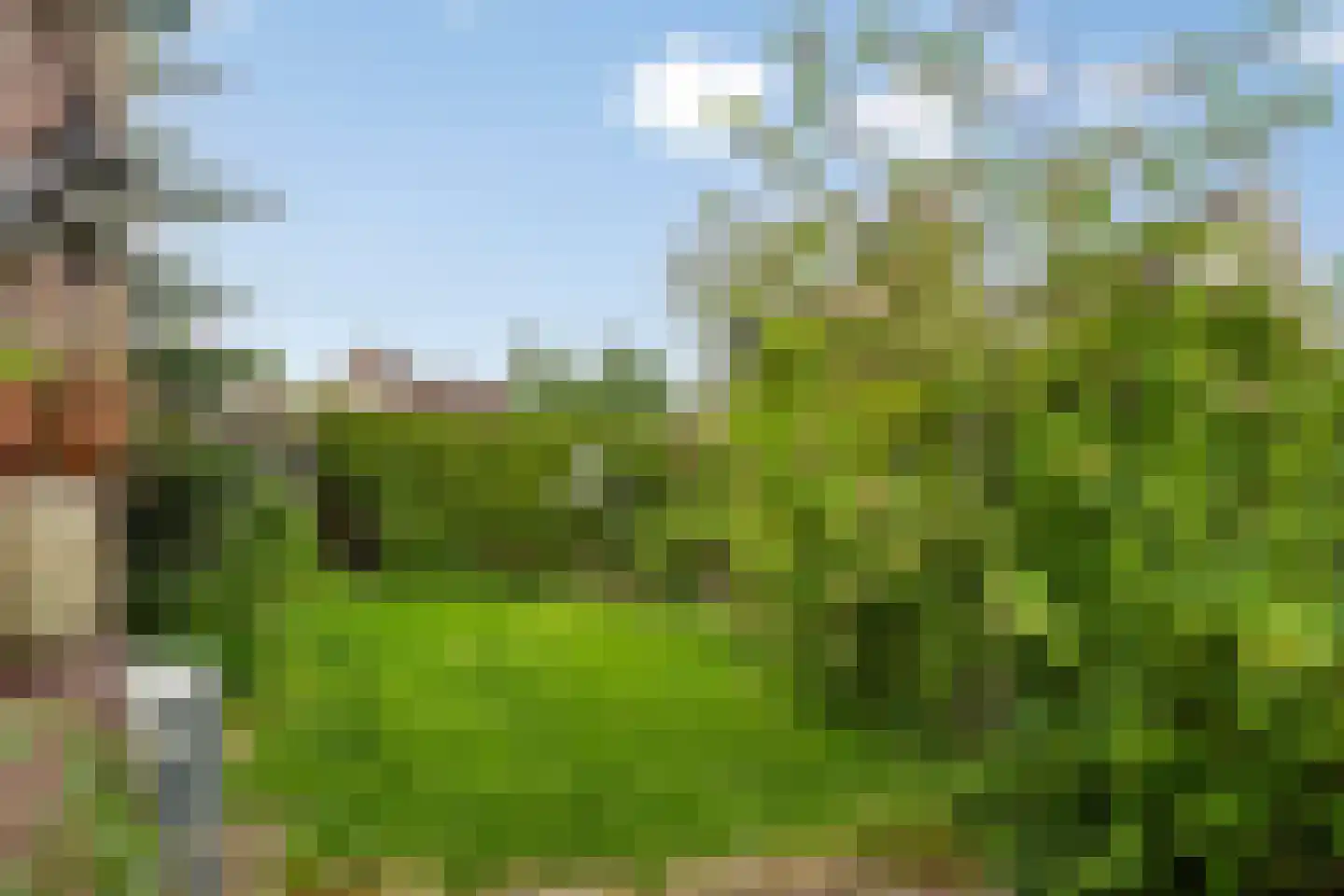 Nessenwei 16 C Oosthem thumbnail 30