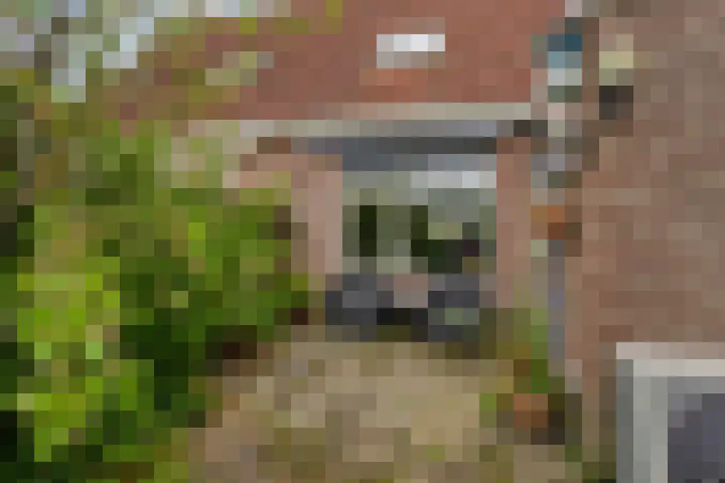Nessenwei 16 C Oosthem thumbnail 32