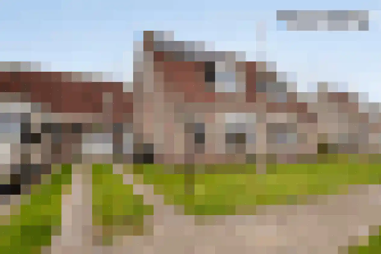 Nessenwei 16 C Oosthem thumbnail 7