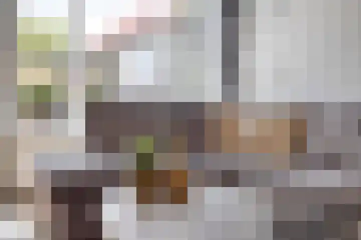 Nessepolderstraat 4 Gouda thumbnail 13