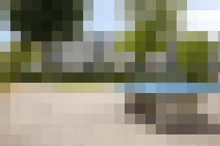 Nessepolderstraat 4 Gouda thumbnail 31