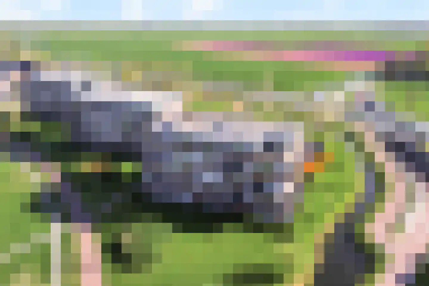 Nesserpark 60 Schagen thumbnail 5