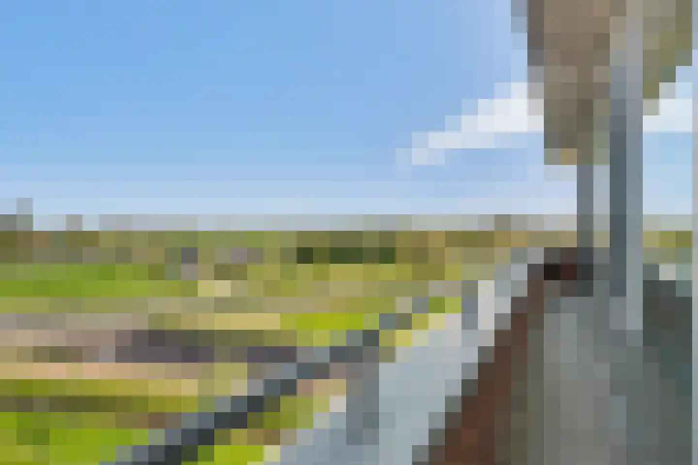 Nesserpark 64 Schagen thumbnail 15