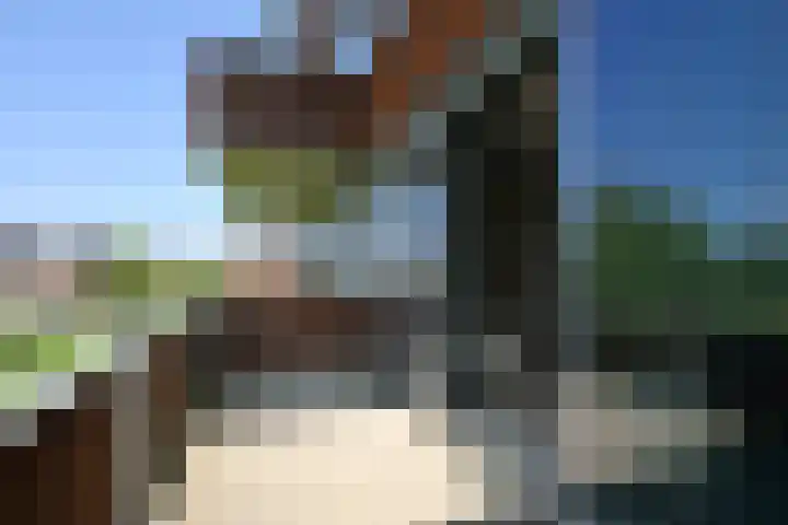 Nesserpark 7 Schagen thumbnail 10