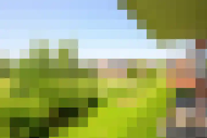 Nesserpark 7 Schagen thumbnail 11