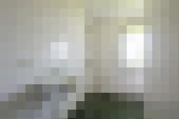 Nesserpark 7 Schagen thumbnail 19