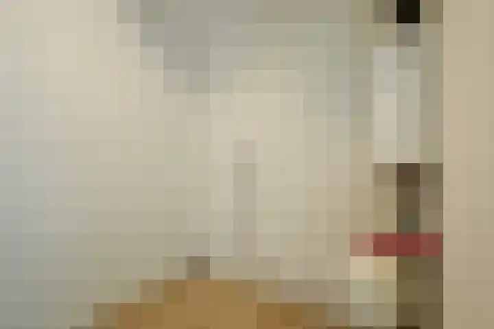 Nesserpark 7 Schagen thumbnail 20