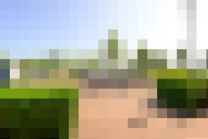 Nesserpark 7 Schagen thumbnail 25
