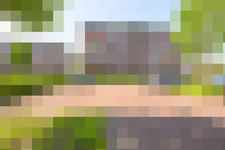 Nesserpark 7 Schagen thumbnail 27